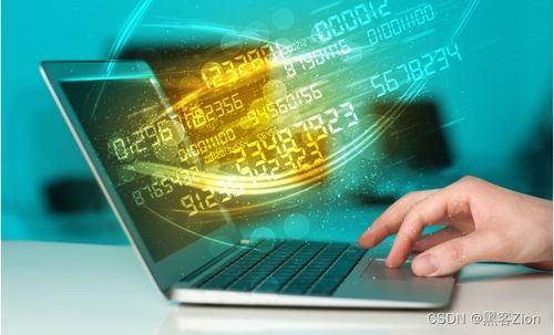 計算機安全技術(shù) 多元就業(yè)方向與廣闊發(fā)展前景